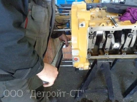 Cat C13_19