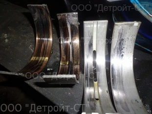 Cat 3066_02.jpg