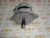 Генератор 12V, 100A Cummins 6ISBe 2874862 (TT11940, 8076N, 88-02508-SX, 10459205, TT11554, 5282836, 4936876, 3935527, 3918558) – Запчасти Cummins фото (Стартеры и генераторы) Генератор 12V, 100A Cummins 6ISBe 2874862 (TT11940, 8076N, 88-02508-SX, 10459205, TT11554, 5282836, 4936876, 3935527, 3918558) фото запчасти