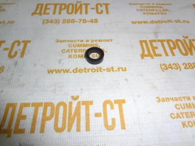 Кольцо Cummins M11 3883510 фото запчасти