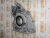Масляный насос - передняя крышка Deutz BF6M2012/TCD2012 04258382 (4258382, 0425-8382, 041800201201, 21489736, 04252095, 04252555, 04258673, 04502445, 4252095, 4252555, 4258673, 4502445, 0425-2095, 0425-2555, 0425-8673, 0450-2445) – Запчасти Deutz фото (Масляные насосы) Масляный насос - передняя крышка Deutz BF6M2012/TCD2012 04258382 (4258382, 0425-8382, 041800201201, 21489736, 04252095, 04252555, 04258673, 04502445, 4252095, 4252555, 4258673, 4502445, 0425-2095, 0425-2555, 0425-8673, 0450-2445) фото запчасти