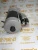 Стартер Deutz 01182925 (01183677, 01180928, STB1130UL, 11131769, 0118-3235, 01183235, 01183712, 0118-3712, 01183120, 0118-3120, AZF4197, 0118-3677, 0118-2925, 0118-0928) – Запчасти Deutz фото (Стартеры и генераторы) Стартер Deutz 01182925 (01183677, 01180928, STB1130UL, 11131769, 0118-3235, 01183235, 01183712, 0118-3712, 01183120, 0118-3120, AZF4197, 0118-3677, 0118-2925, 0118-0928) фото запчасти