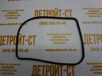 Прокладка  Cummins 3679931 фото запчасти