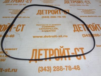 Кольцо уплотнительное гильзы (под фланец) Cummins K19 4000504 фото запчасти