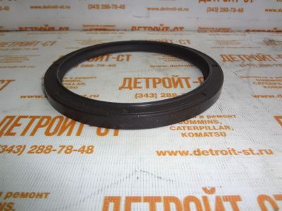 Сальник коленчатого вала задний 0509-0494 (5090494, AX1004606) фото запчасти