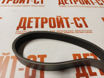 Ремень генератора Cummins QSX, ISX-15 3103233 фото запчасти