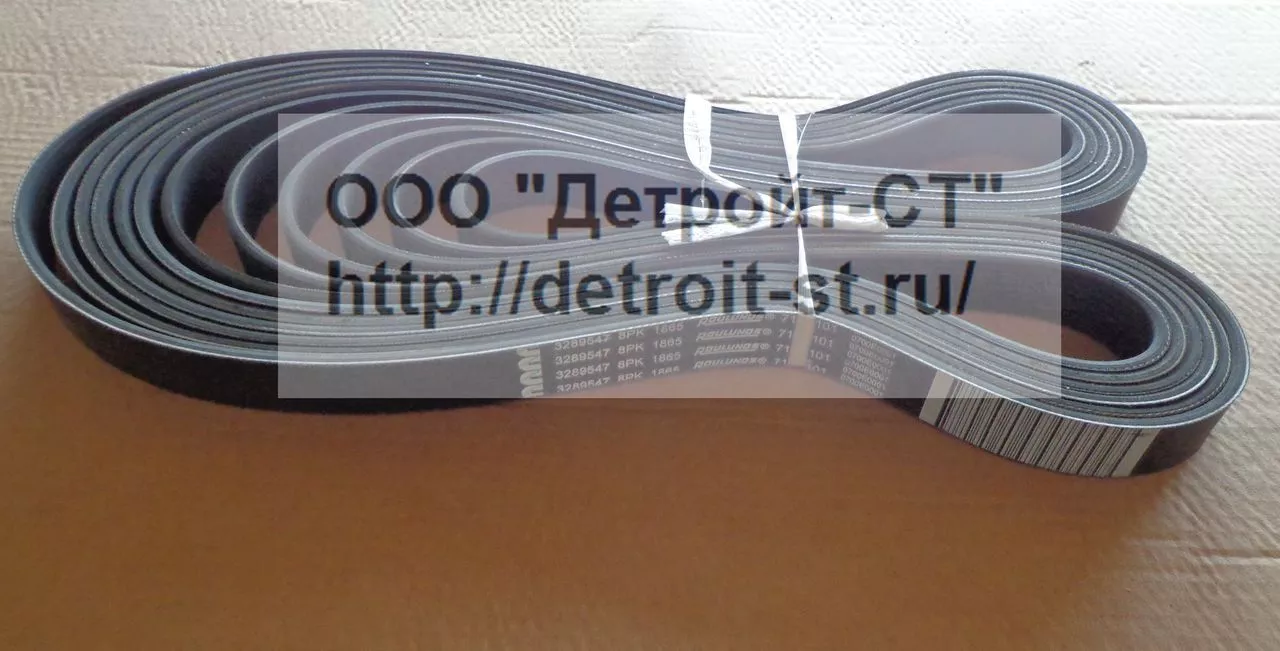 Ремень Cummins 3289547 (3919248) фото запчасти